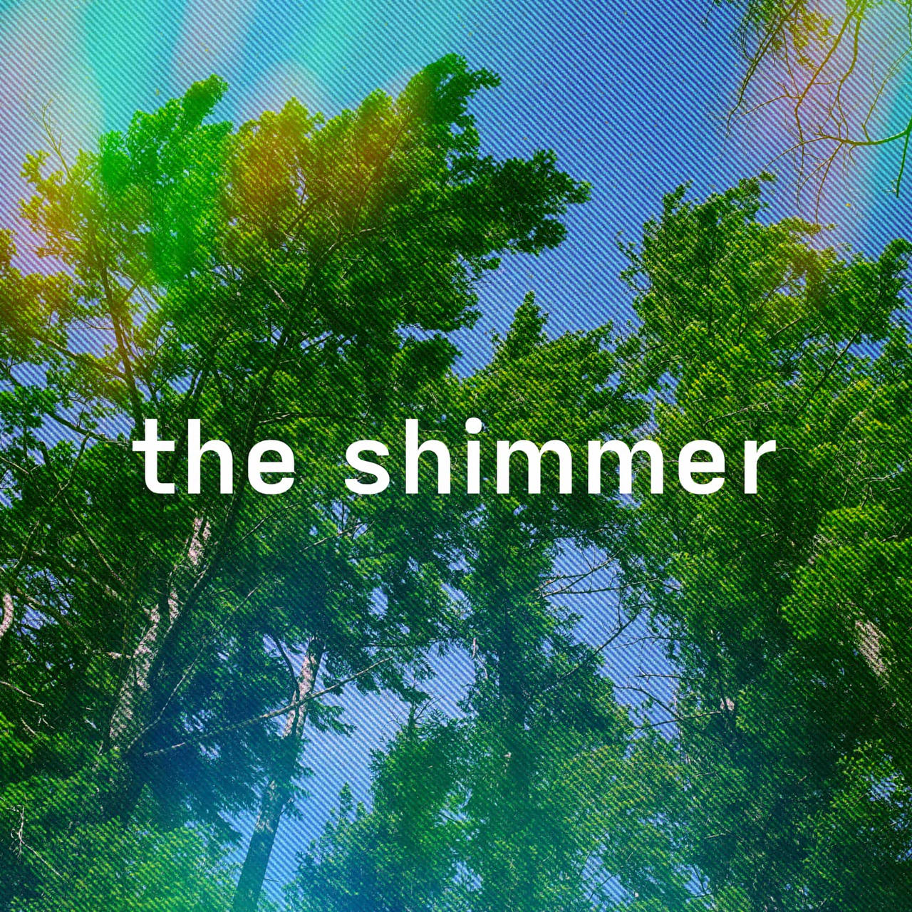 Cover art for The Shimmer